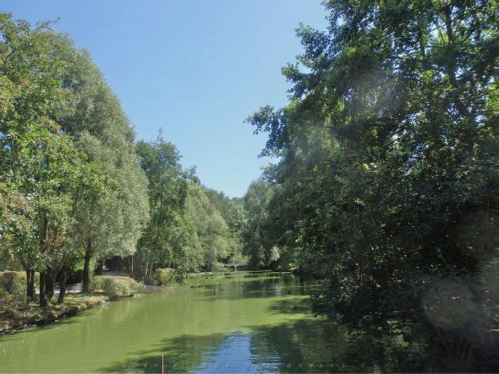 101PARC AUX OISEAUX DANS L AIN 2016 1_000033.jpg
